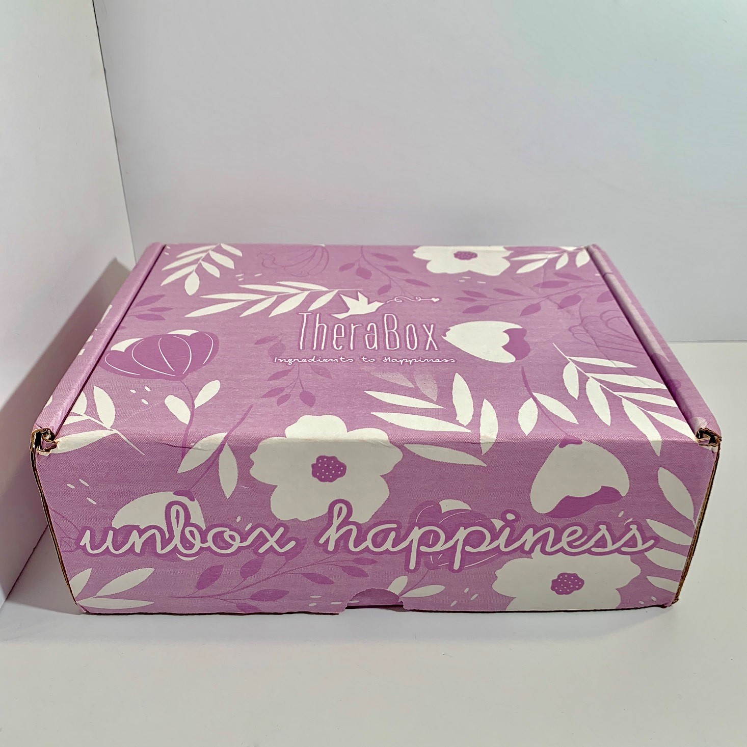 TheraBox Subscription Box Review + Coupon – May 2019