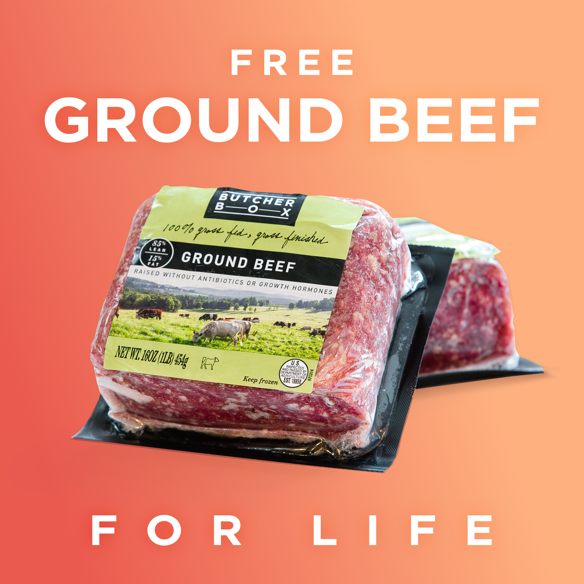 Butcher Box Coupon Free Ground Beef For Life! MSA