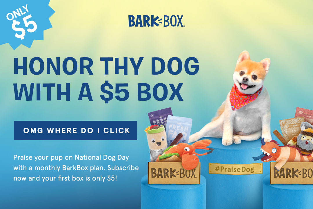 BarkBox Coupon – First Box For $5!