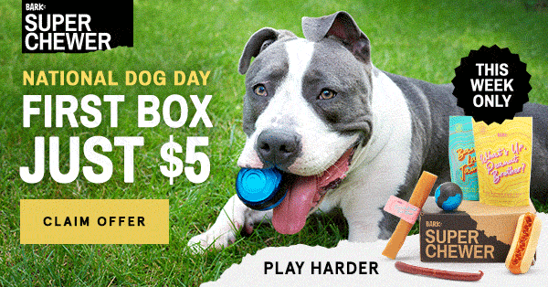 Super Chewer Coupon – First Box for $5!