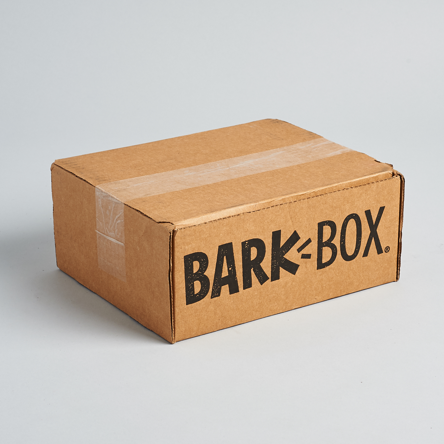 BarkBox Subscription Box Review + Coupon – July 2019