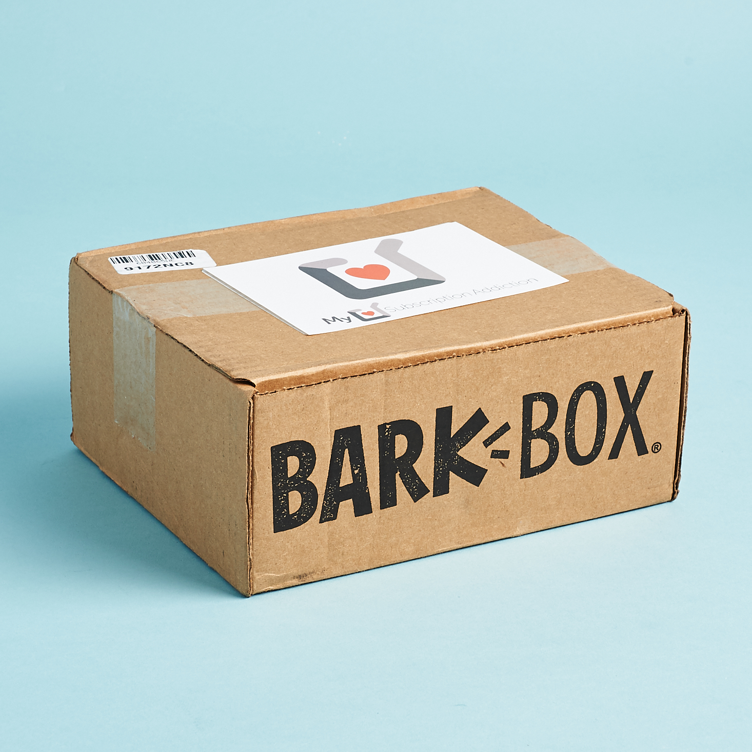 BarkBox Subscription Review + Coupon – ‘80s Workout Edition