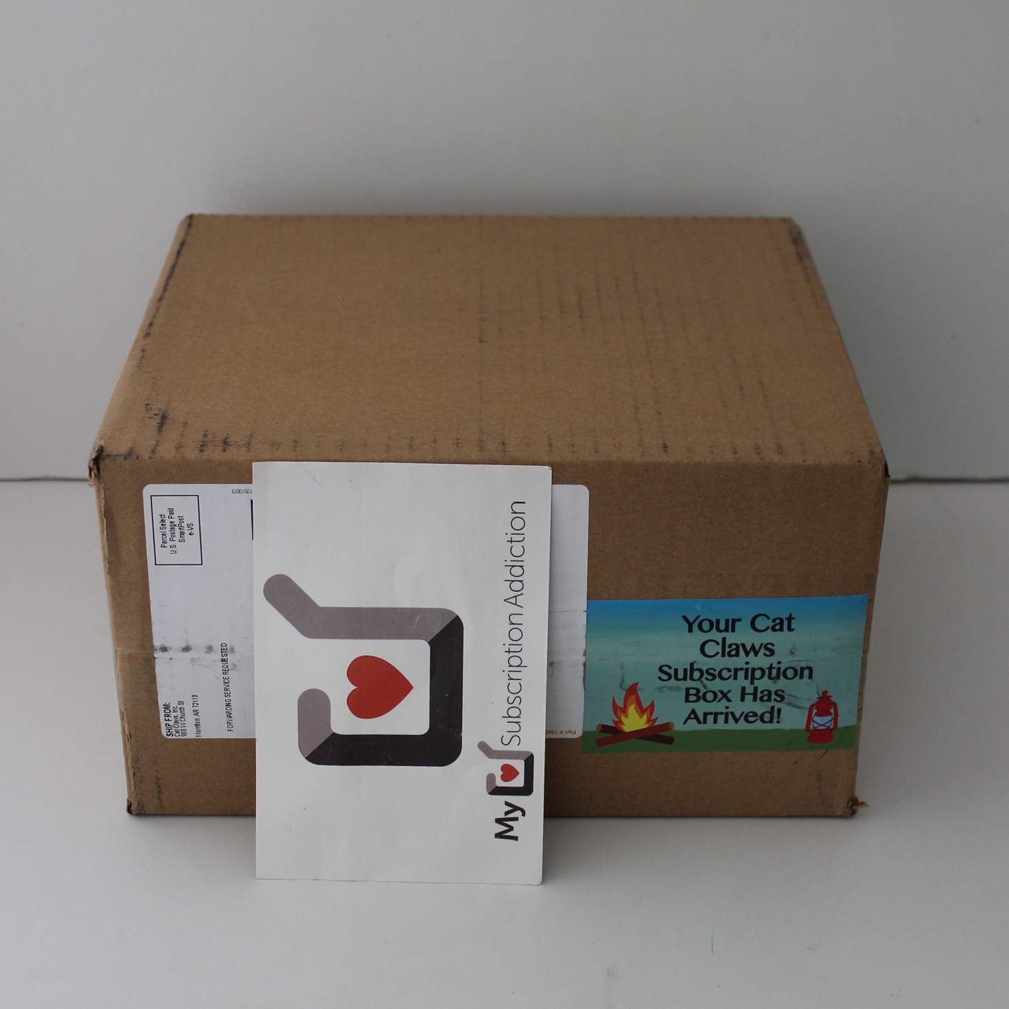 Cat Claws Club Subscription Box Review – August 2019