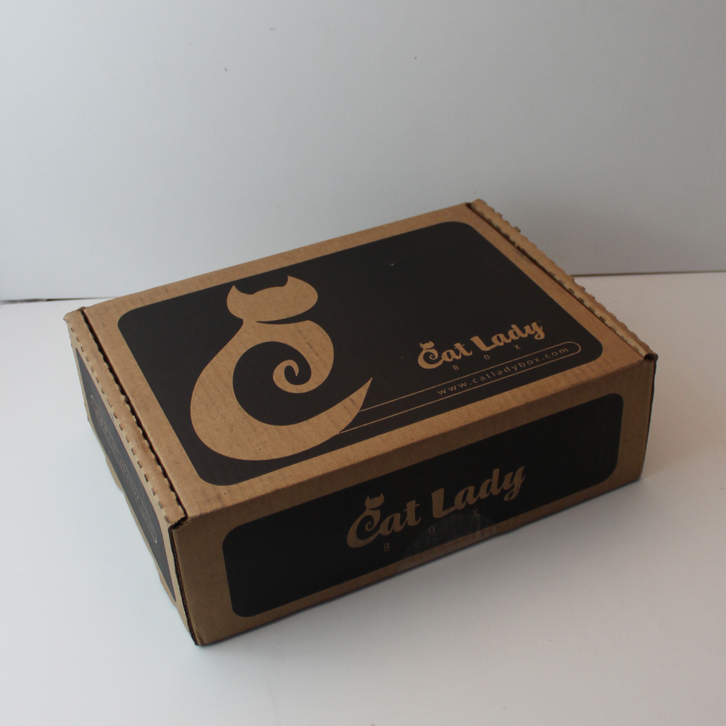 CatLadyBox Subscription Review + Coupon – August 2019