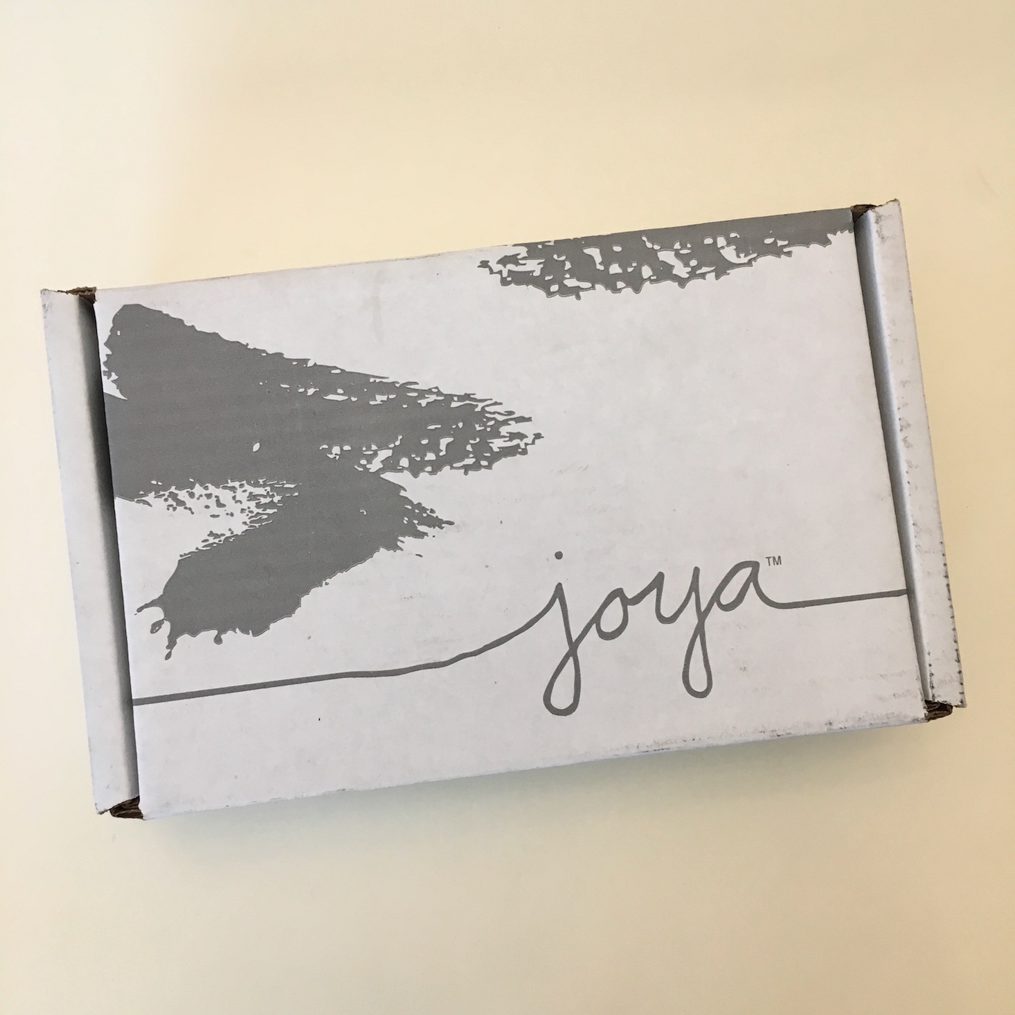 Collections by Joya Jewelry Subscription Review – August 2019