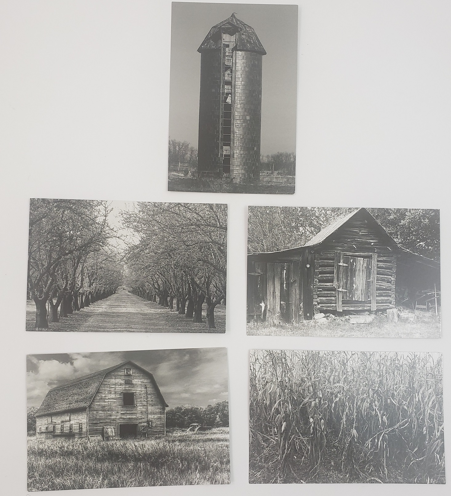 Deadbolt Mystery Society Review + Coupon The Body Farm MSA