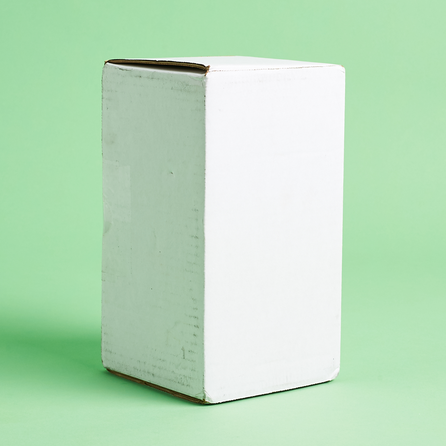 NSFW Heart + Honey Queen Bee Box Review + Coupon – August 2019