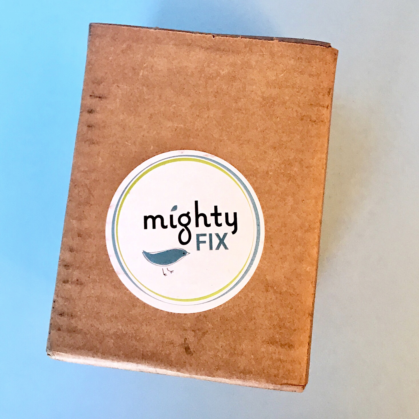 MightyFix Subscription Review + Coupon – August 2019