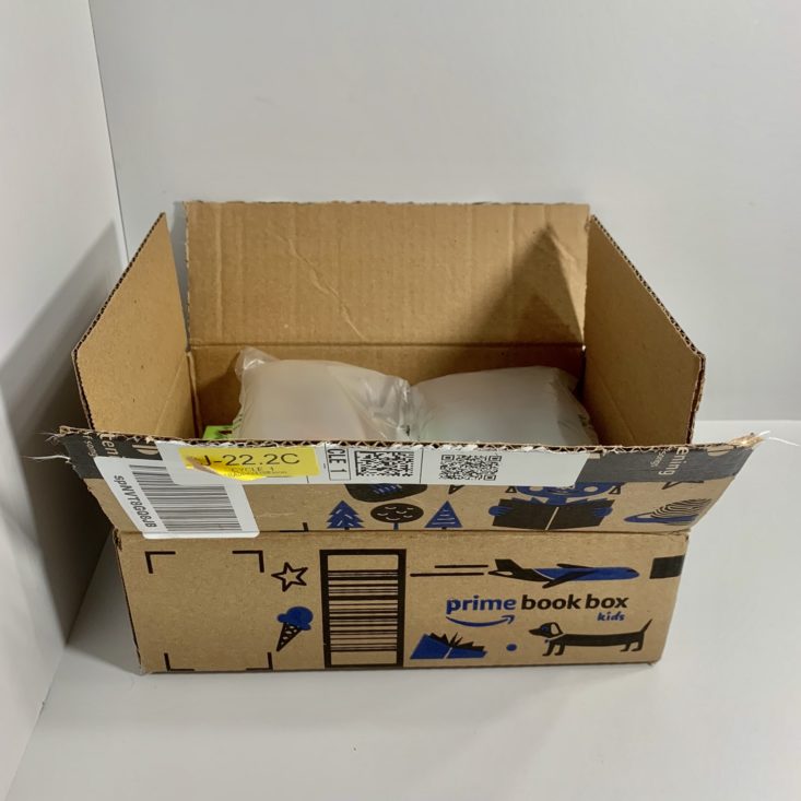 Amazon Prime Book Box, Ages 68 Review July 2019 MSA