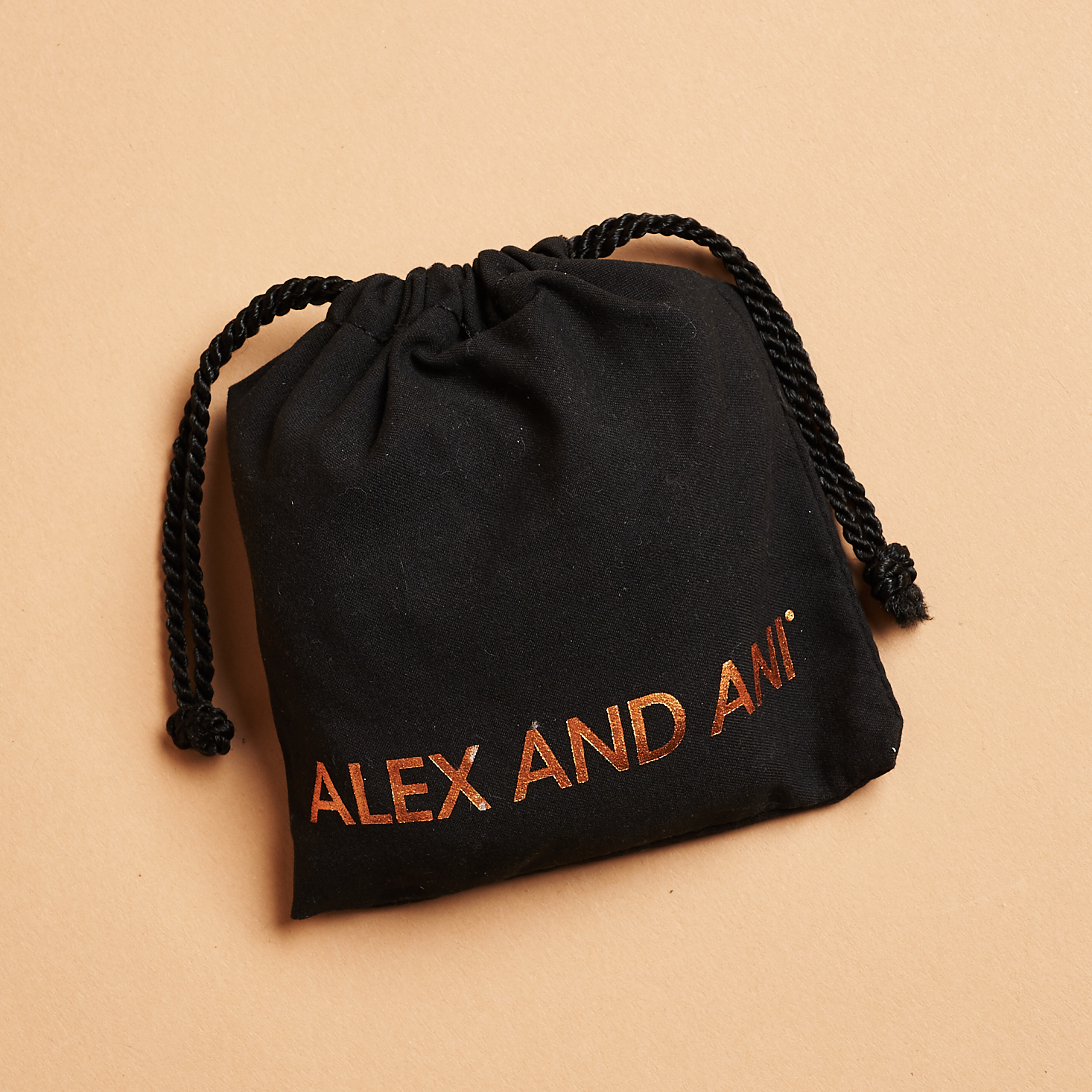 black alex and ani pouch