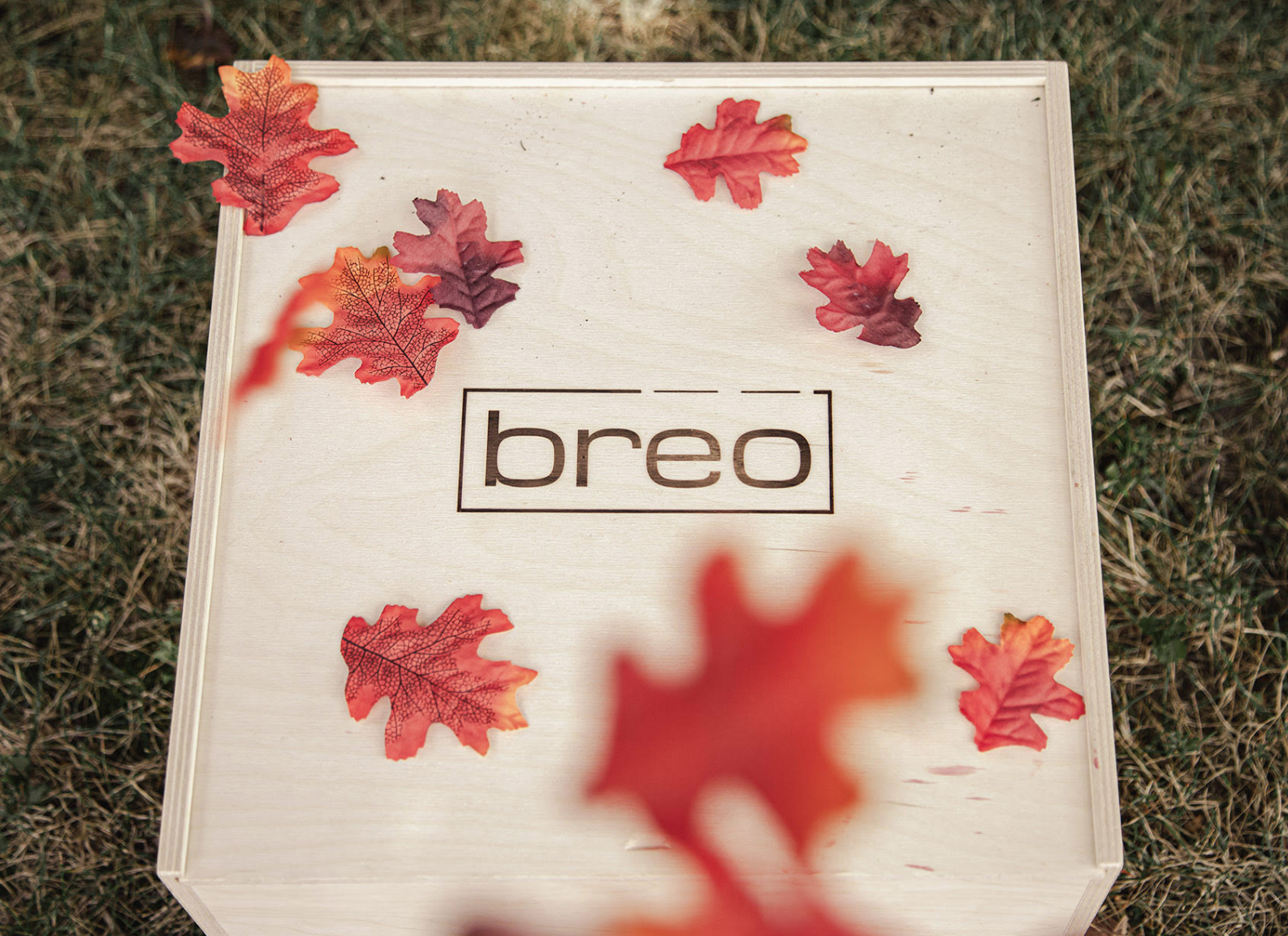 Breo Box Fall 2019 Spoiler #3 + Coupon!
