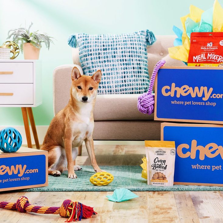 A room filled with chewy boxes and toys next to a dog, armchair, pillow, and end table.