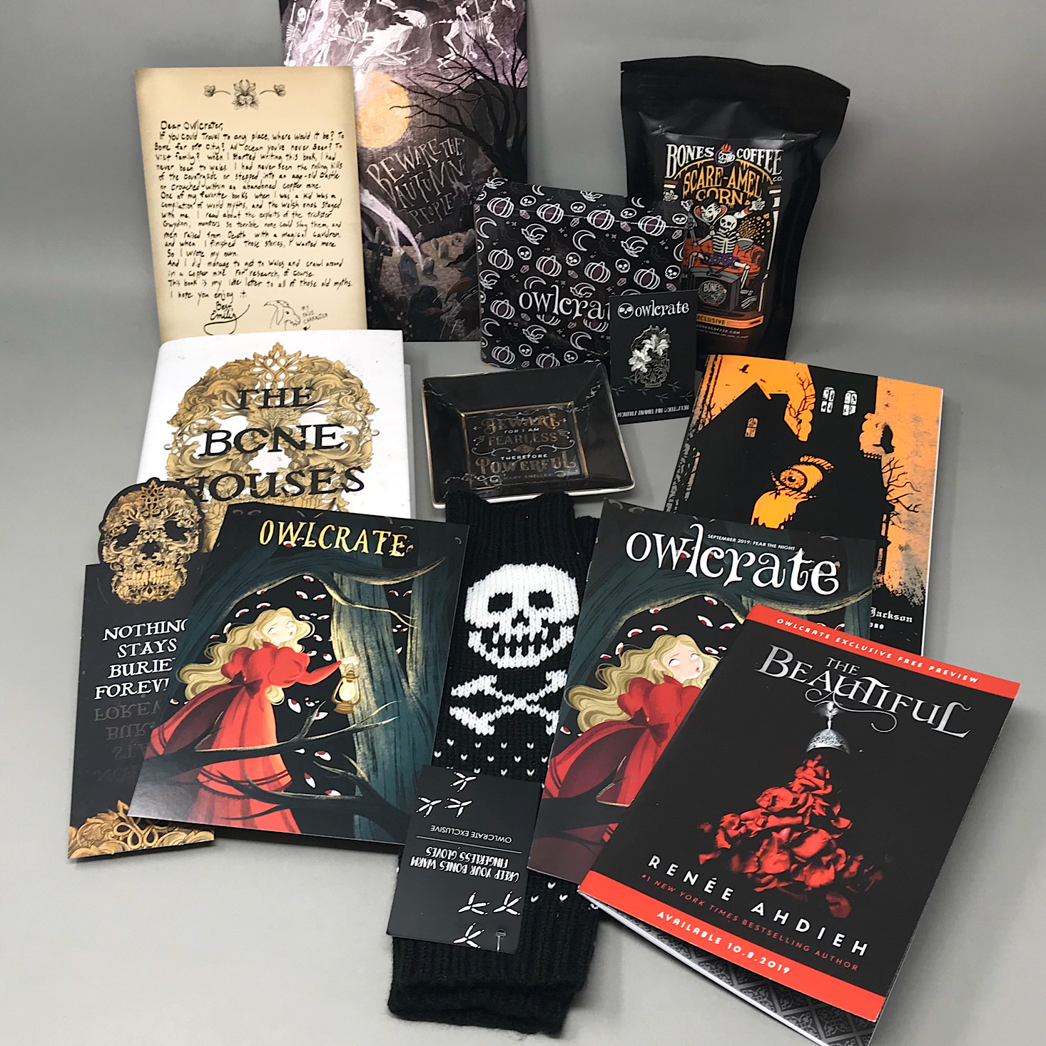 OwlCrate YA Book Box Review + Coupon – September 2019