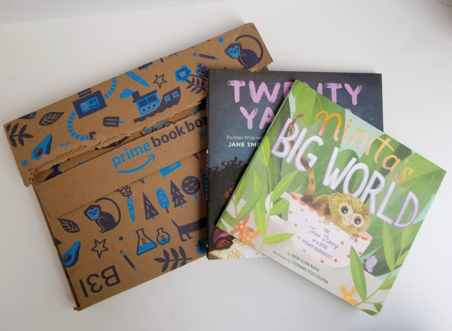 Amazon Prime Book Box, Ages 3-5 Review – August 2019