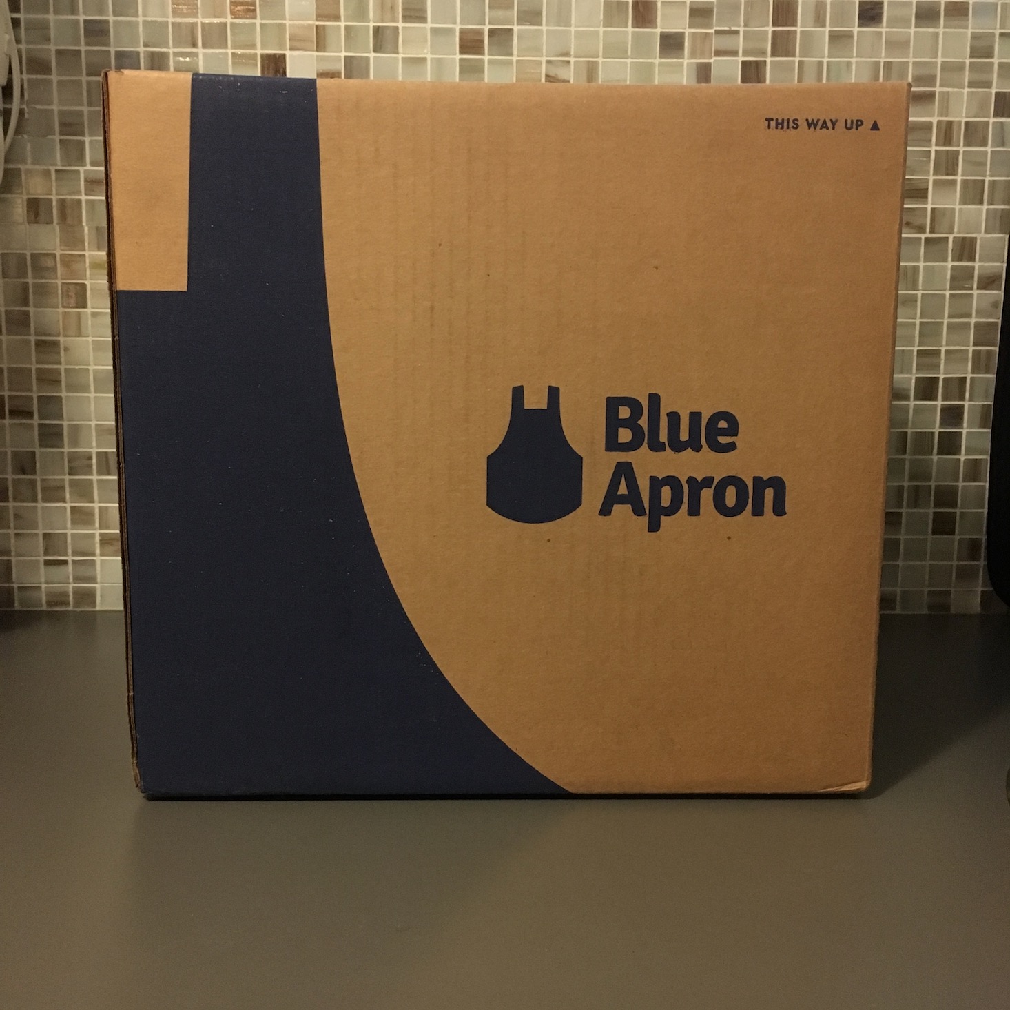 Blue Apron Beyond Burgers Review + Coupon – September 2019