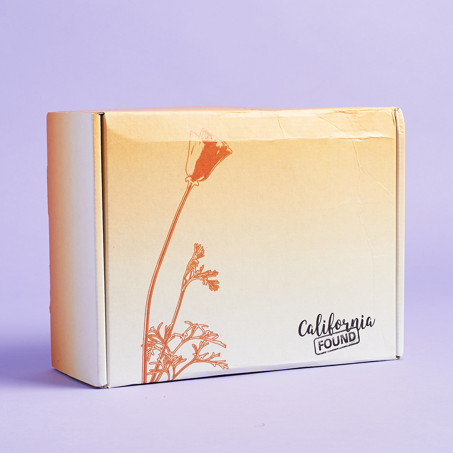 California Found Subscription Box Review + Coupon – August 2019