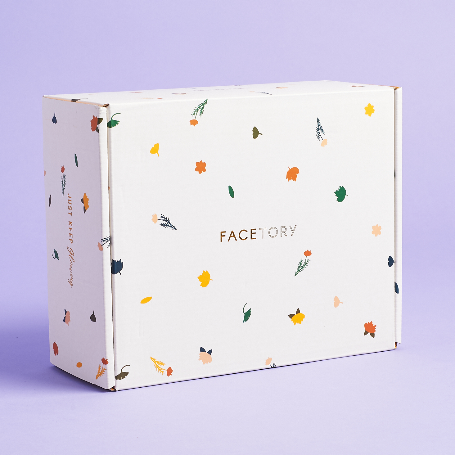 Facetory Lux Plus Box Review + Coupon – Fall 2019