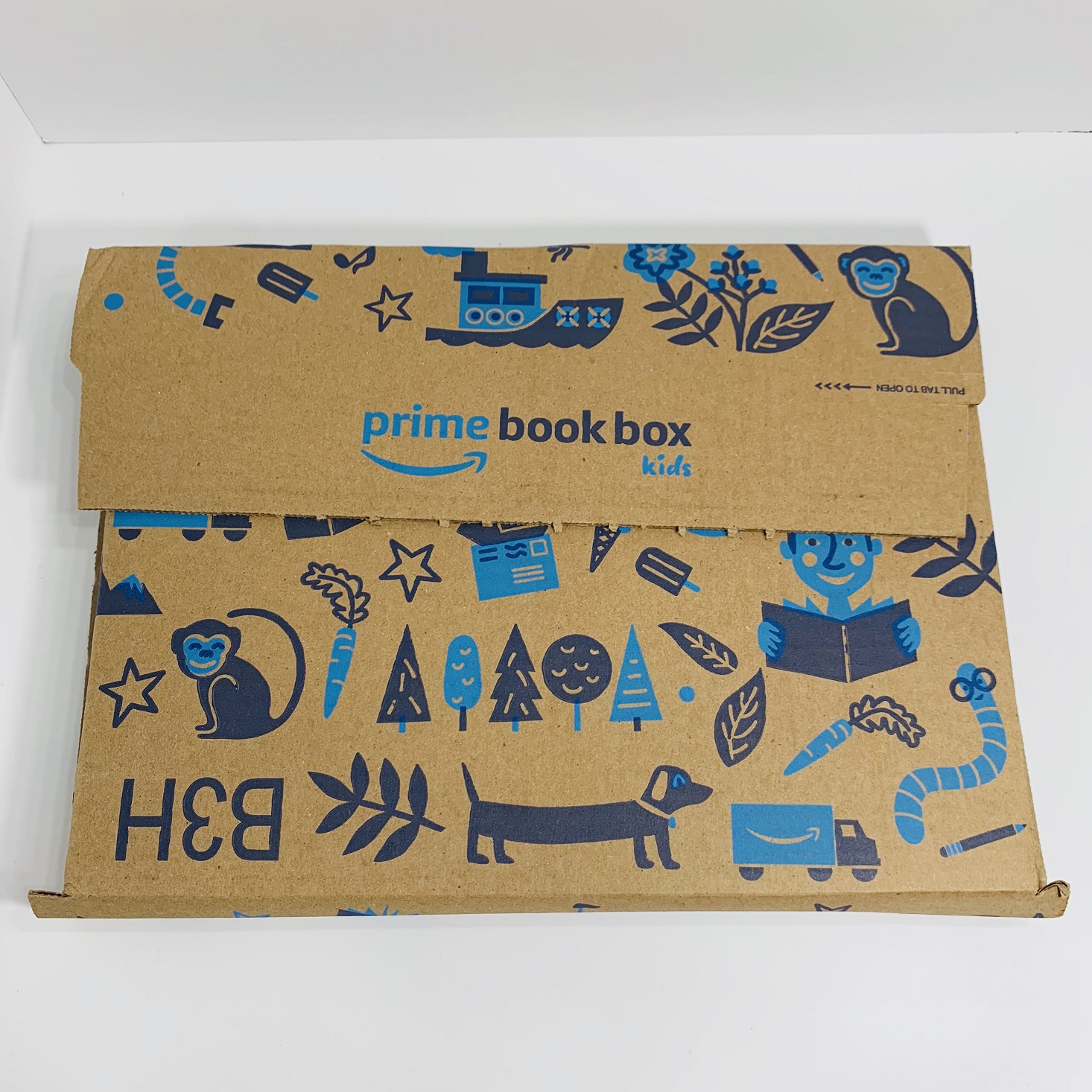 Amazon Prime Book Box, Ages 6-8 Review – August 2019