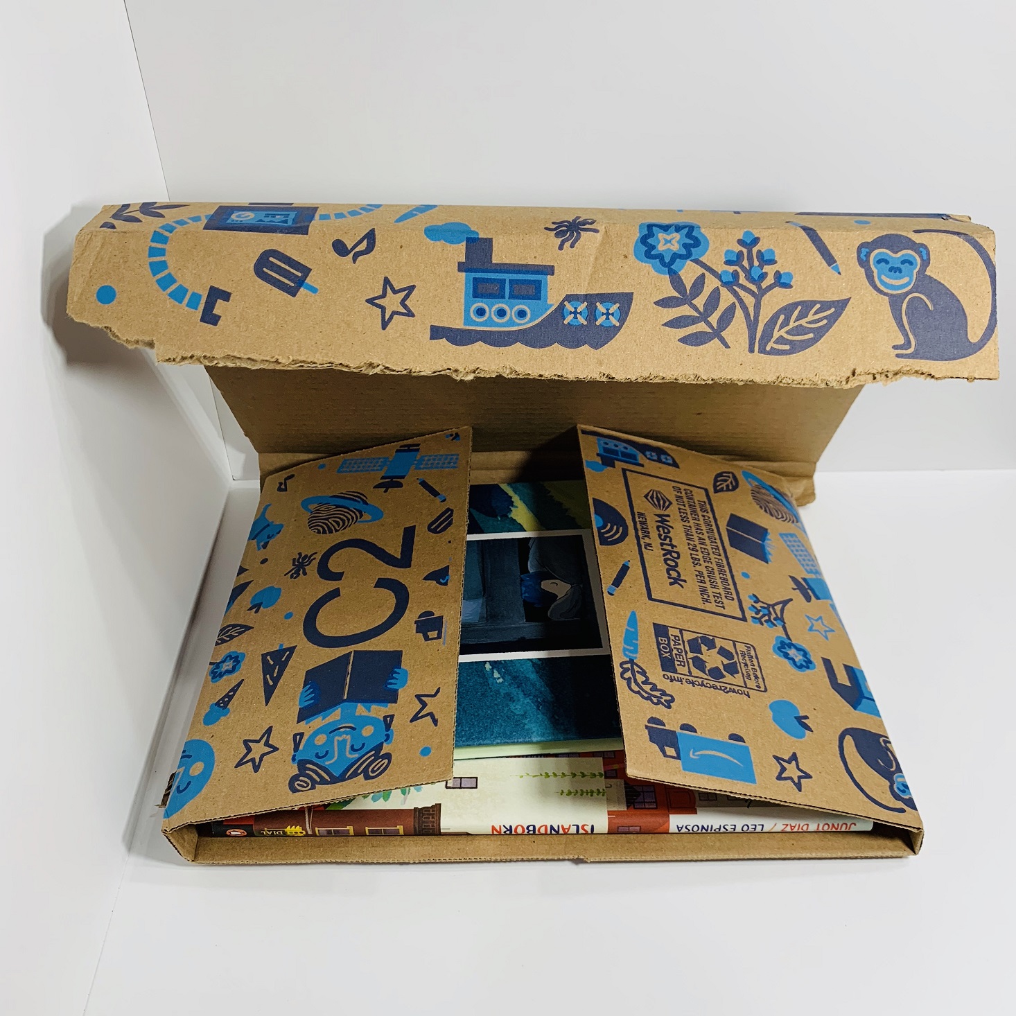 Amazon Prime Book Box, Ages 68 Review August 2019 MSA