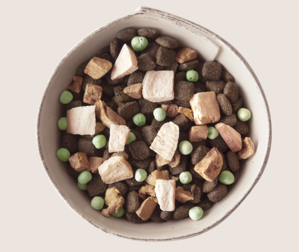 14 Best Dog Food Subscription Boxes of 2023 MSA