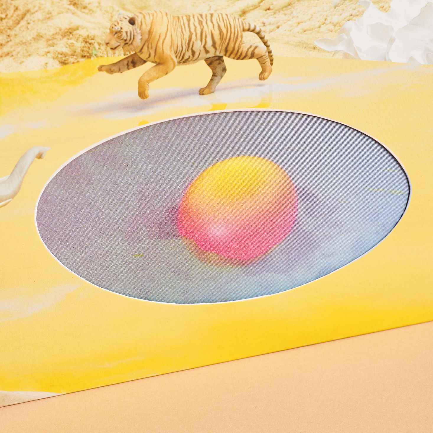 hologram sphere in pond on cover