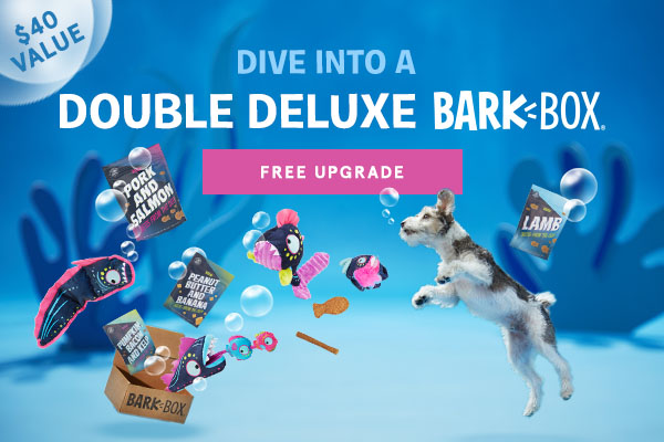 BarkBox Coupon – Double Your First Box with Subscription!