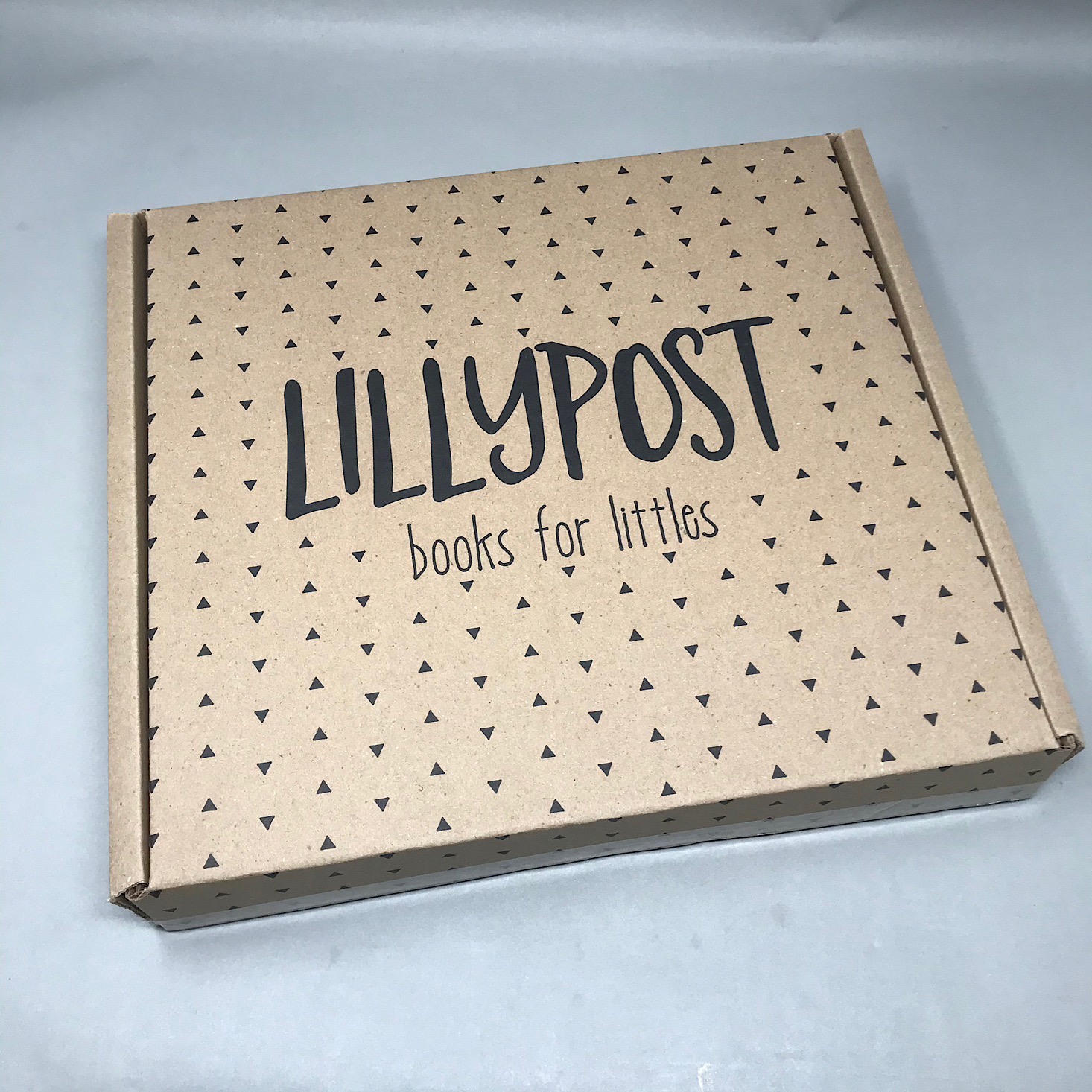 Lillypost Mixed Book Subscription Box Review – October 2019