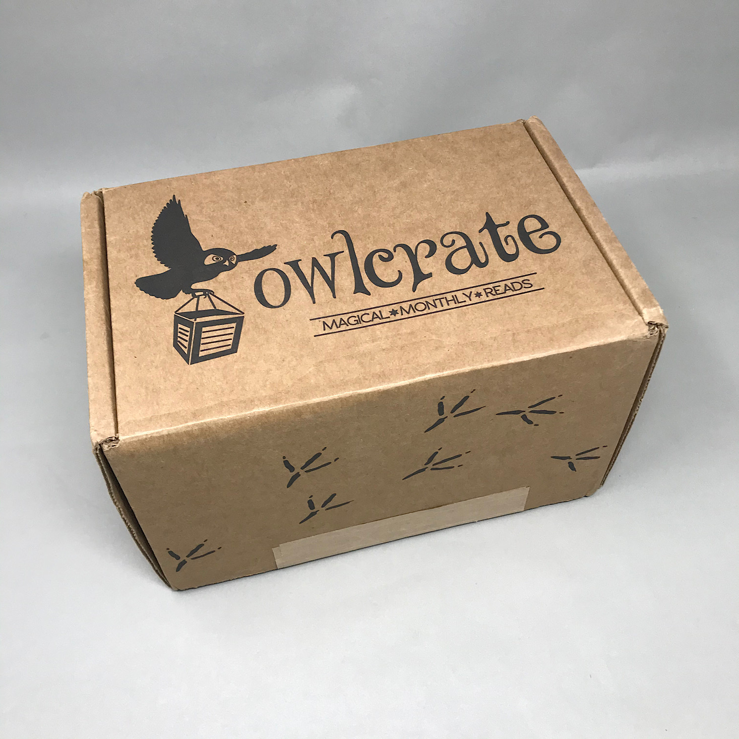 OwlCrate YA Book Box Review + Coupon – October 2019