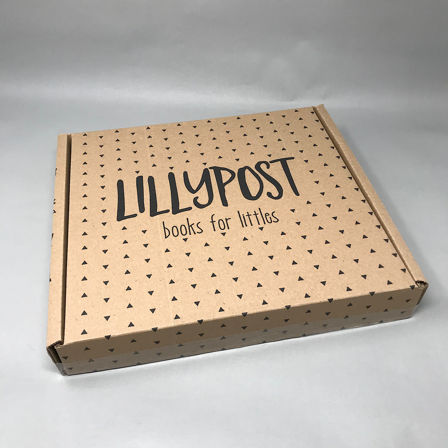 Lillypost Mixed Book Subscription Box Review – September 2019