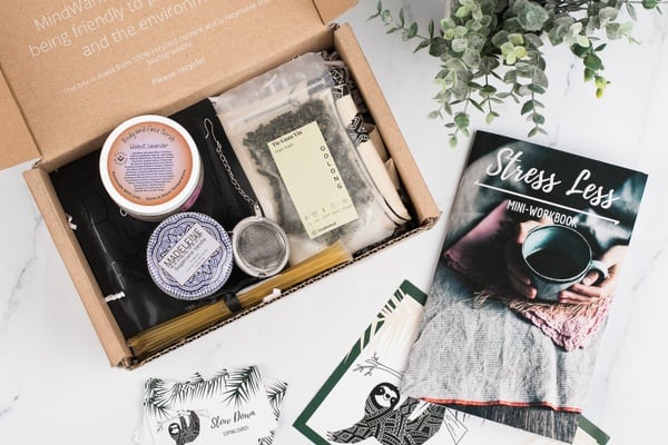 MindWander Box – Should We Review It?