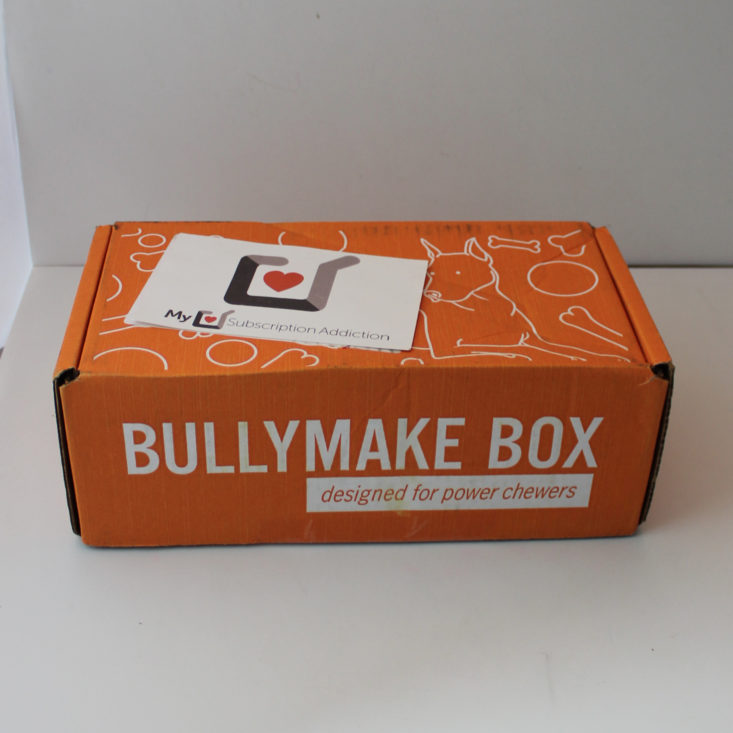 Bullymake Box Subscription Review + Coupon October 2019 MSA