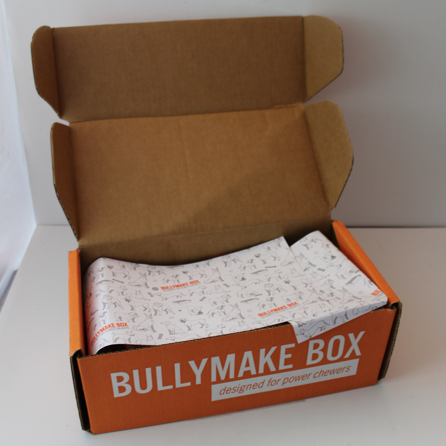 Bullymake Box Subscription Review + Coupon October 2019 MSA