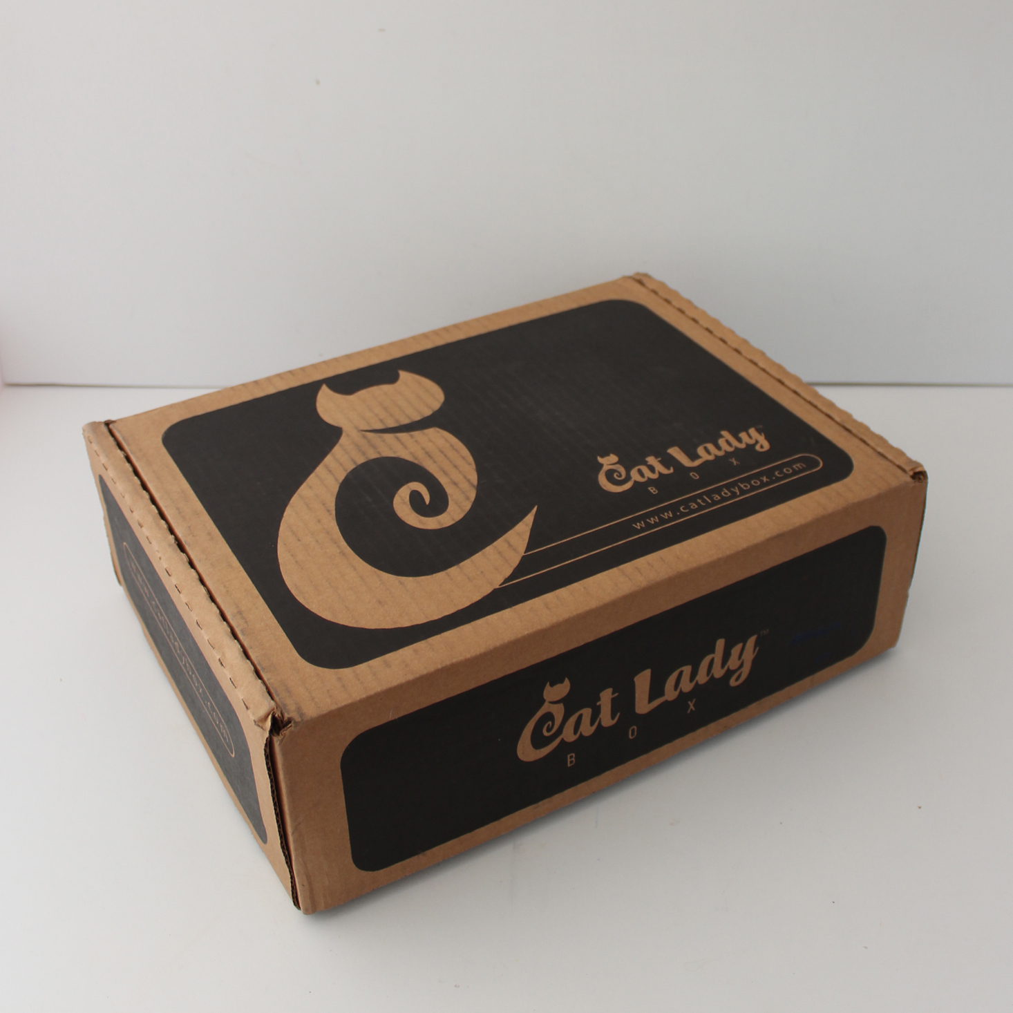 CatLadyBox Subscription Box Review – October 2019