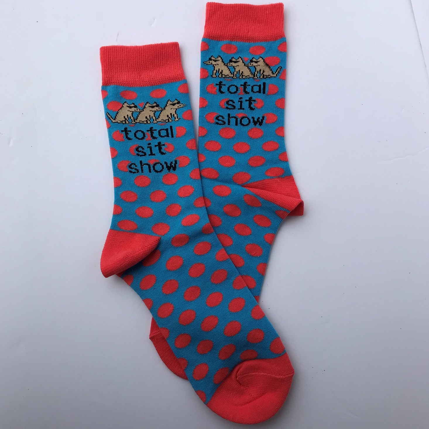 Pet Treater 2019 Oct 2019 Socks laid out