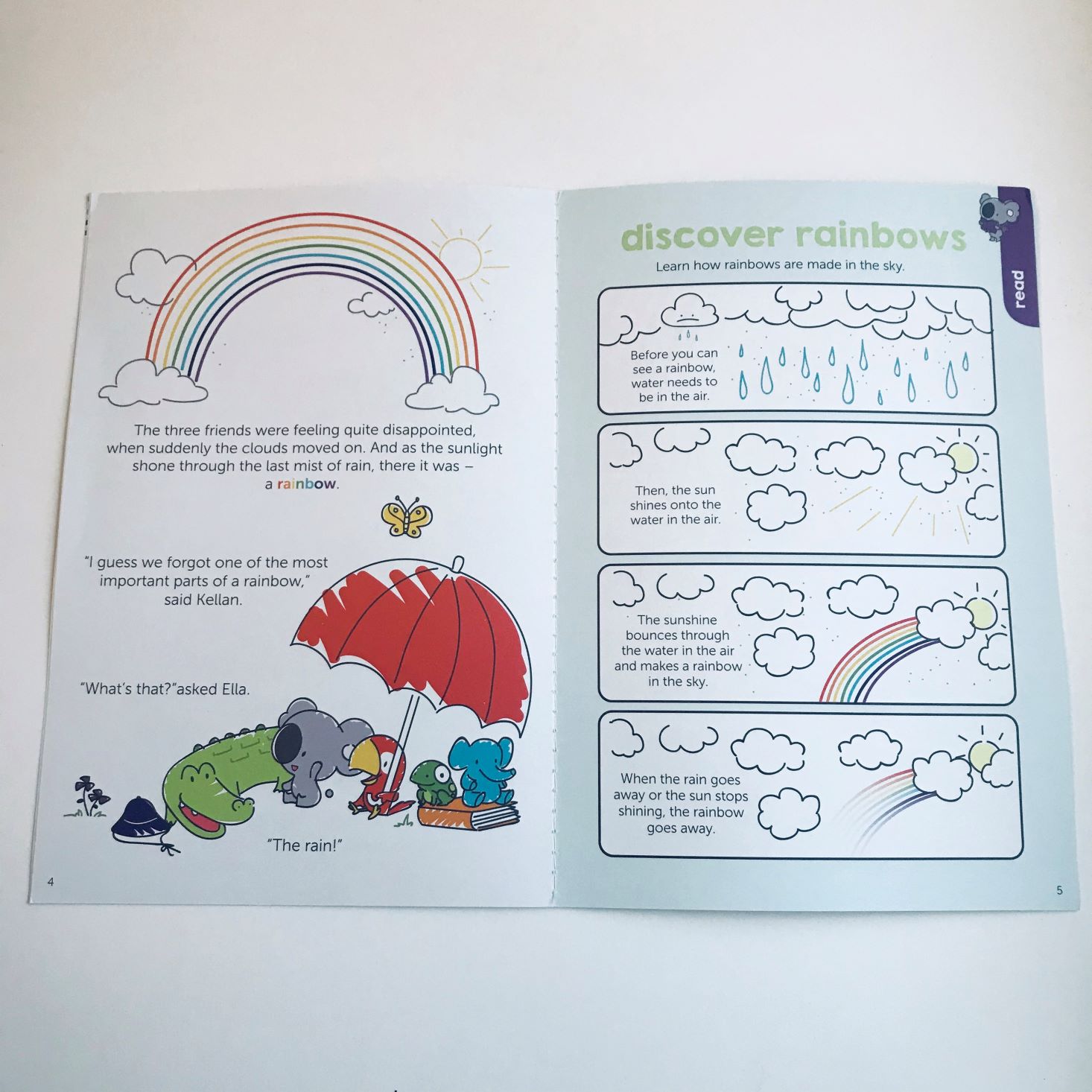 Koala Crate Rainbows page56