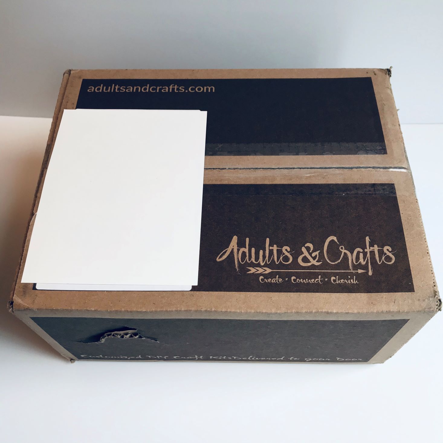 Adults & Crafts Subscription Review + Coupon – November 2019