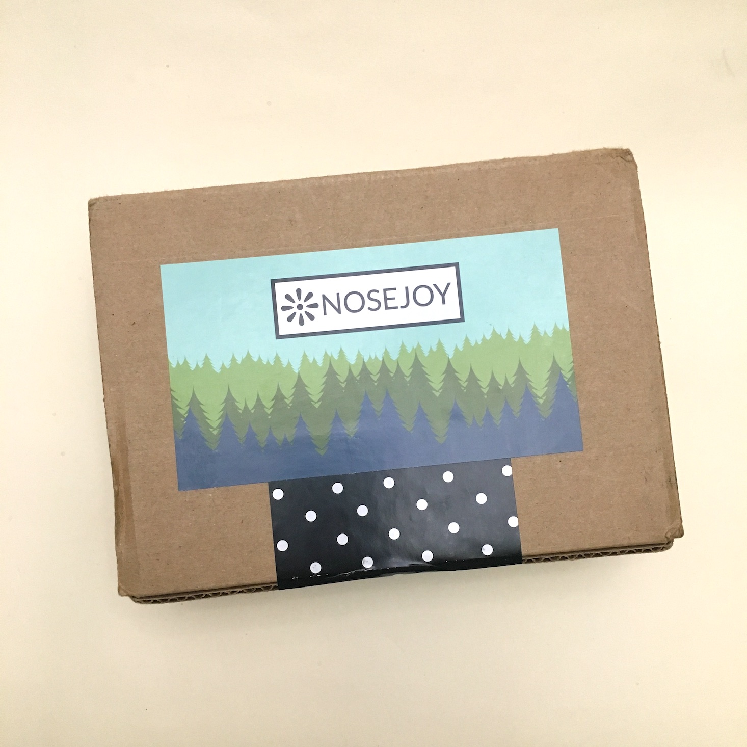 Nosejoy “Forest Fresh” Review + Coupon – September 2019