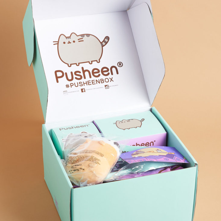 Pusheen Box Review - Fall 2019 | MSA