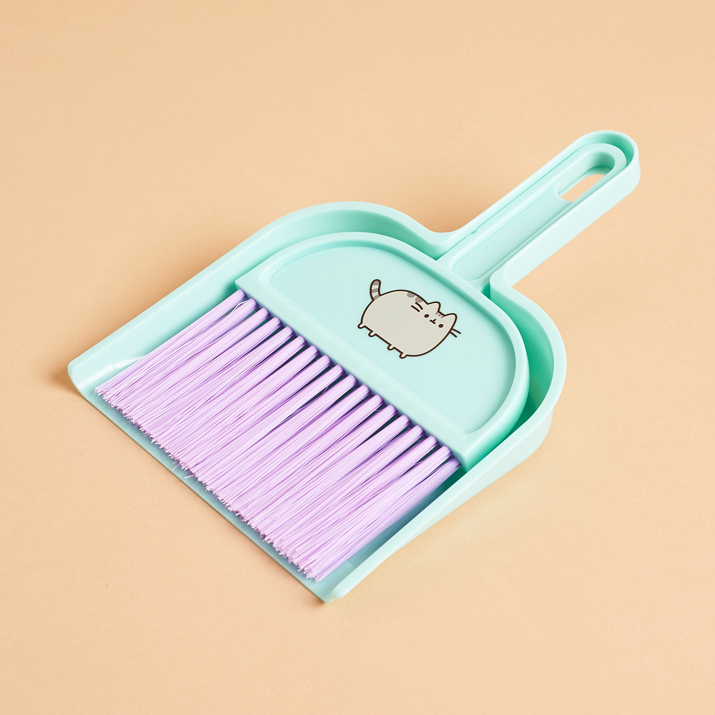 Pusheen mini broom nestled into dust pan