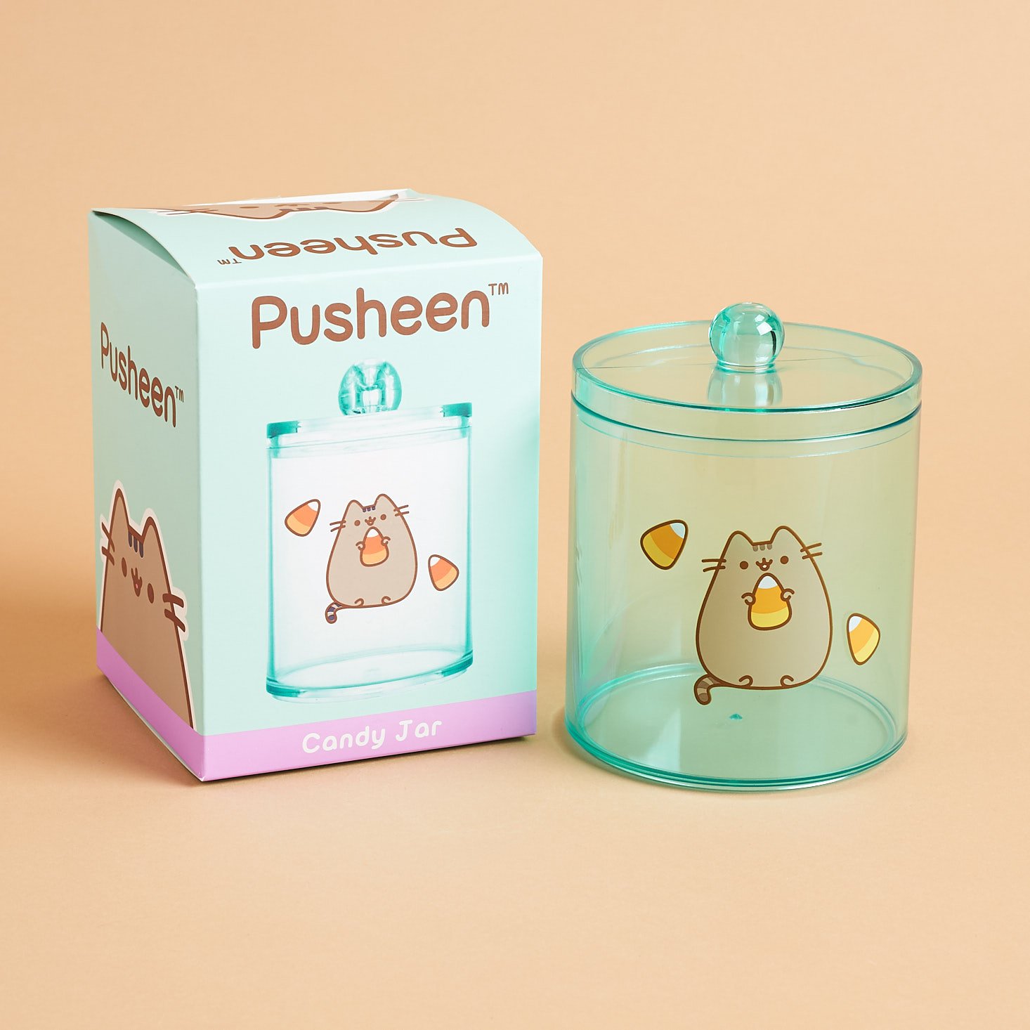 Pusheen candy corn plastic jar w box