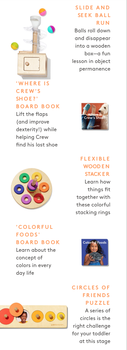 Lovevery Play Kit Subscription - Should We Review It? | MSA