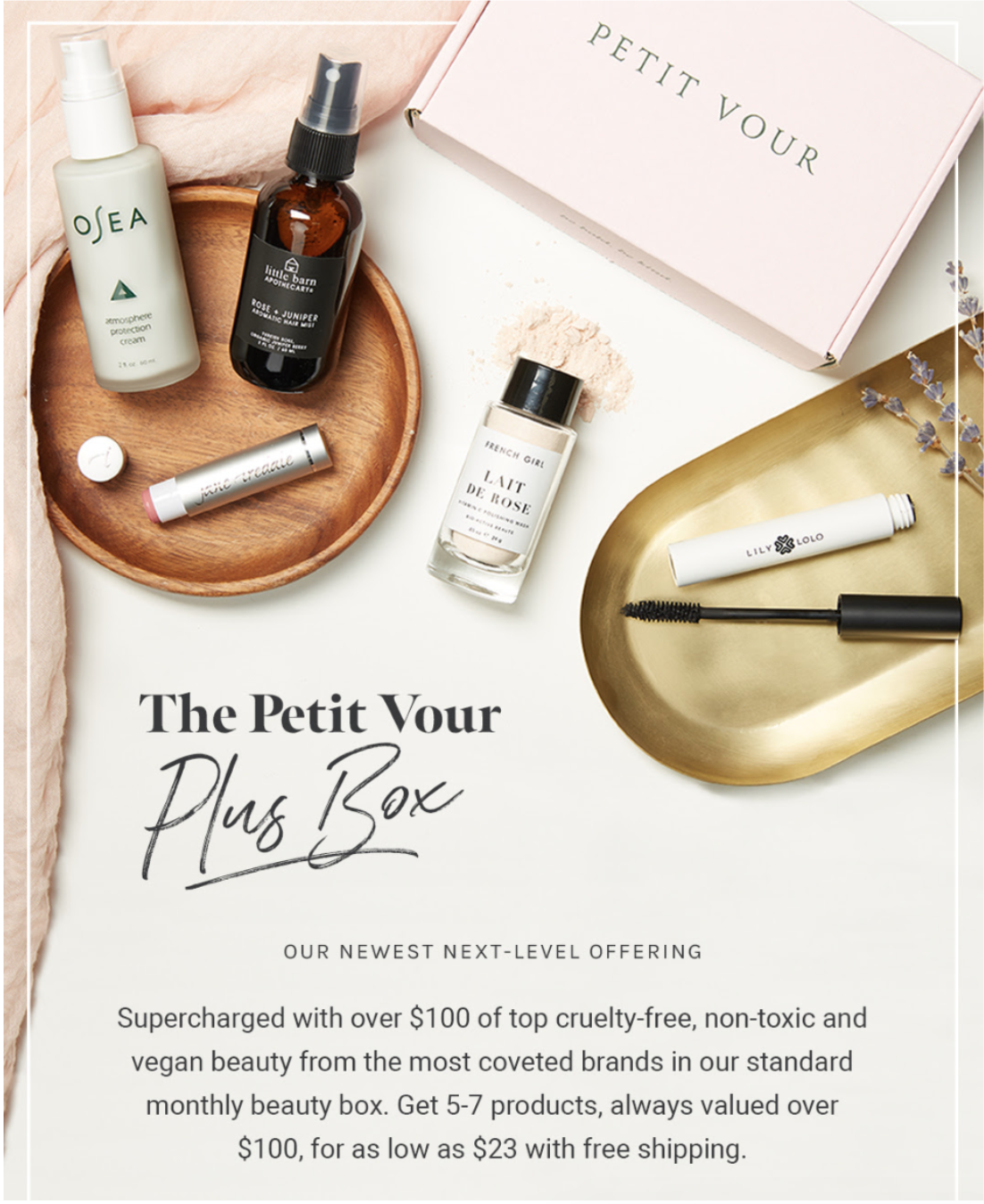 Petit Vour Plus Black Friday Coupon – Save 25% Off Your Subscription!