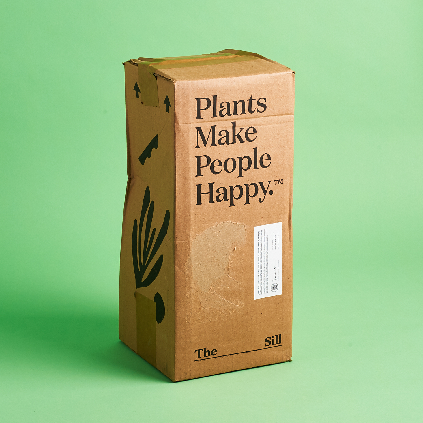 The Sill Plant Subscription Box Review – September 2019