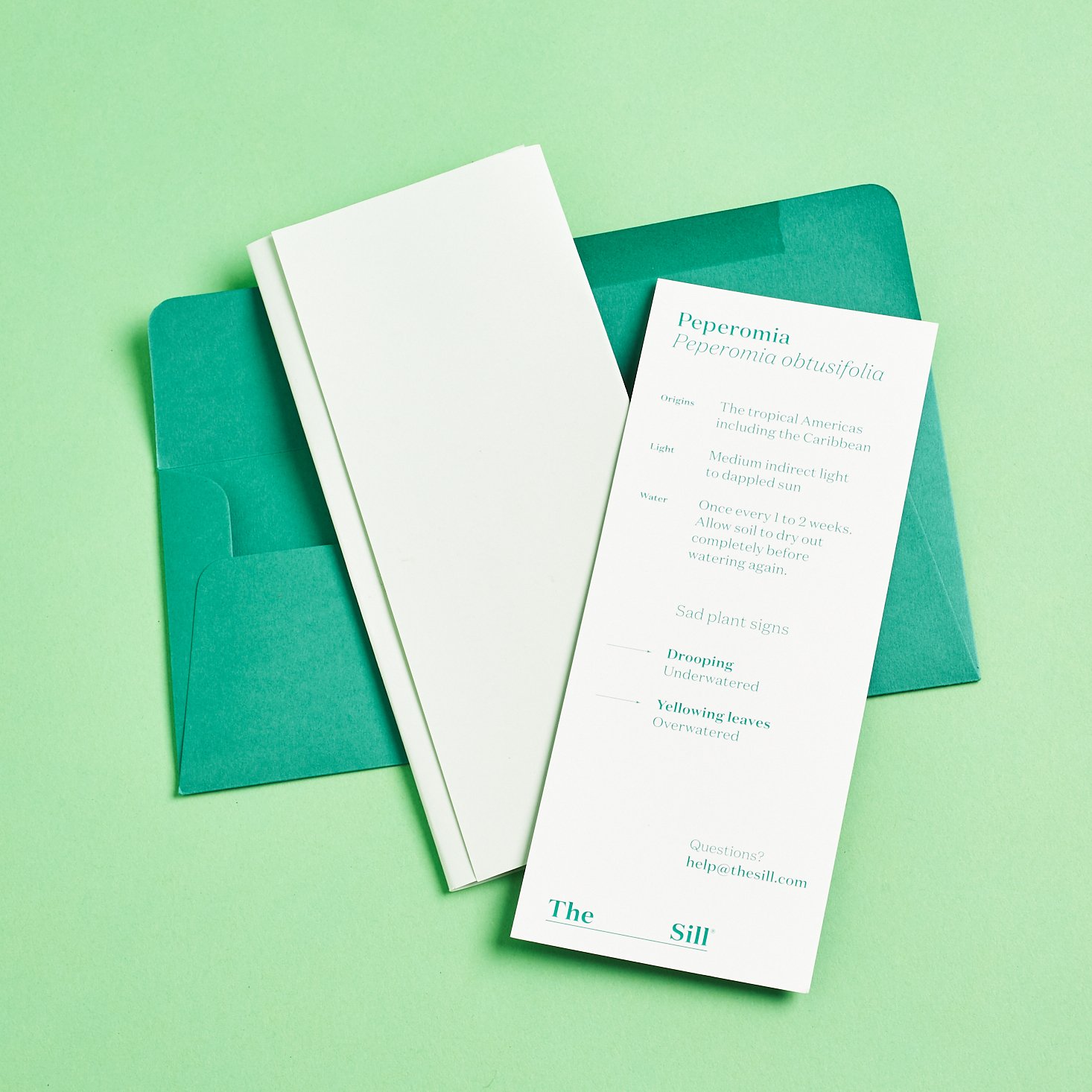 plantinfo cards in teal envelope