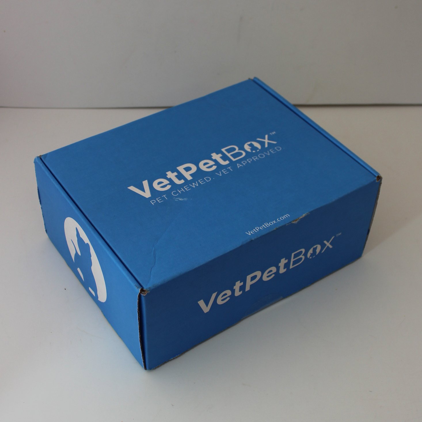 VetPet Box Dog Subscription Review – October 2019