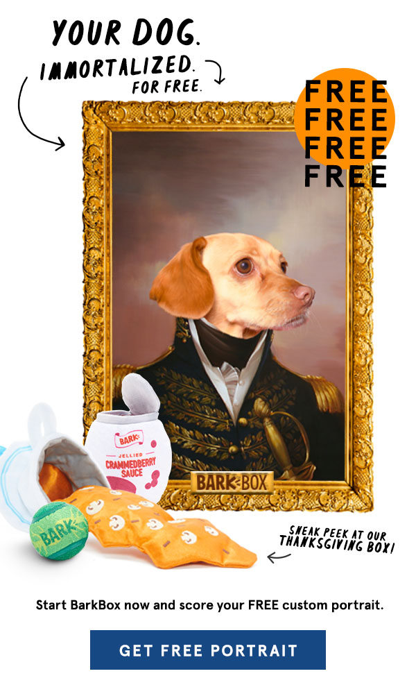 Extended! BarkBox Coupon – Free Custom Pet Portrait With Subscription!