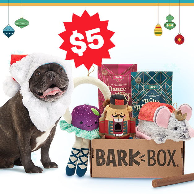 BarkBox Cyber Monday Coupon – First Box For $5!