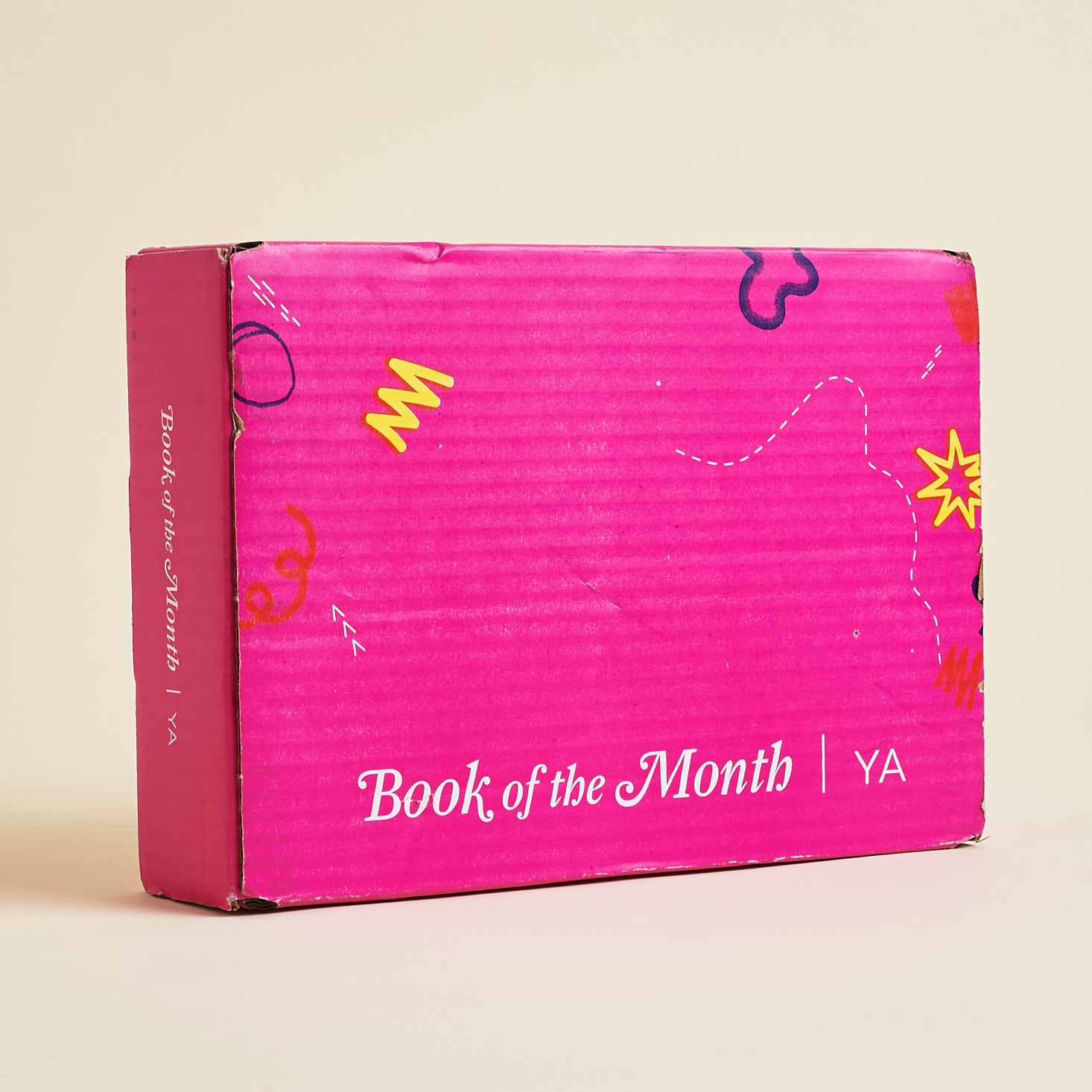 Book of the Month YA Review + Coupon – November 2019