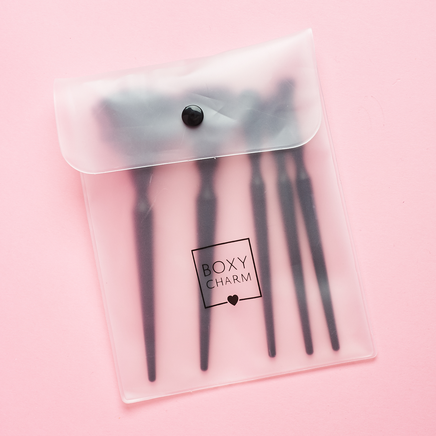 cler fosrst baggie with 5 makeup brushes inside