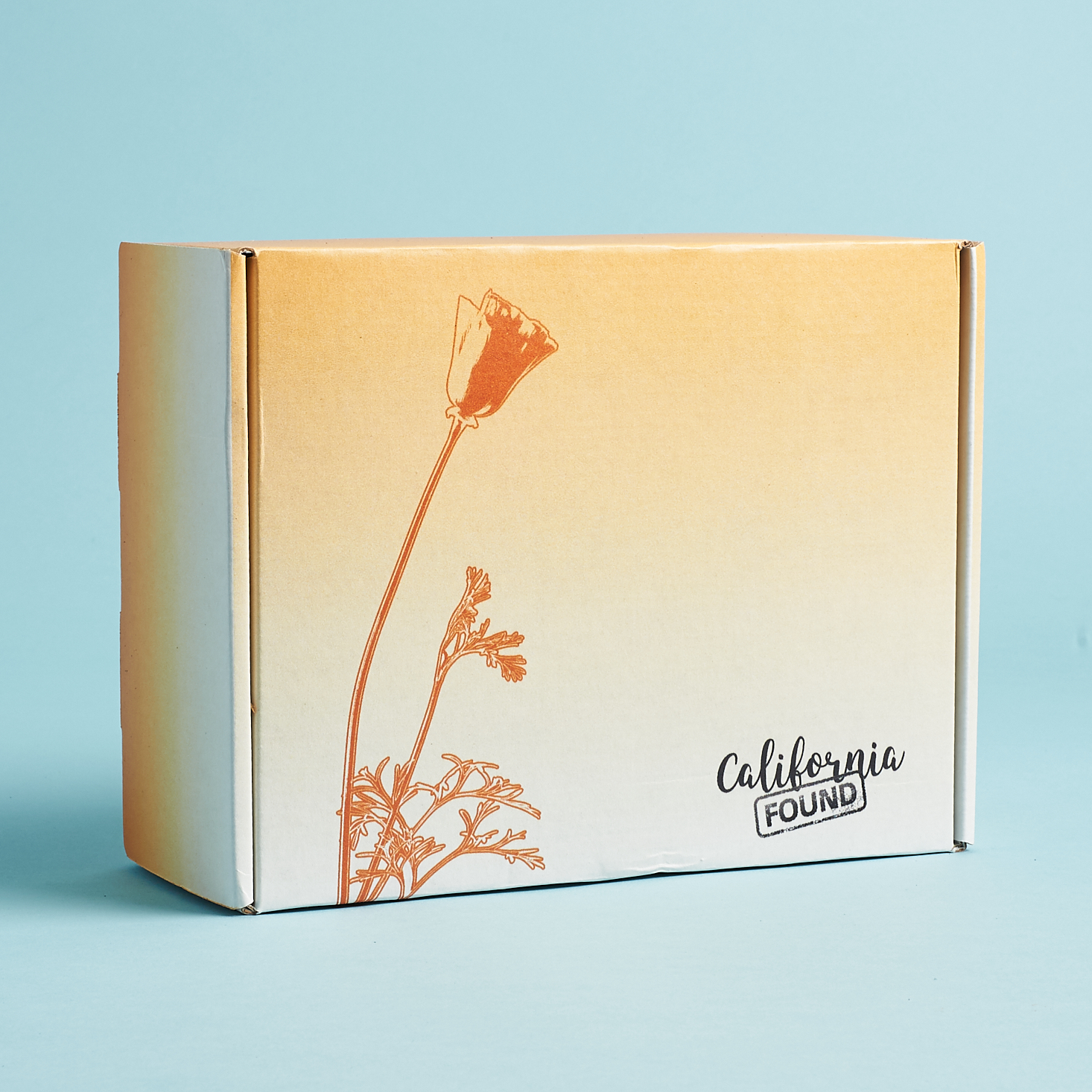 California Found Box Review + Coupon – October 2019